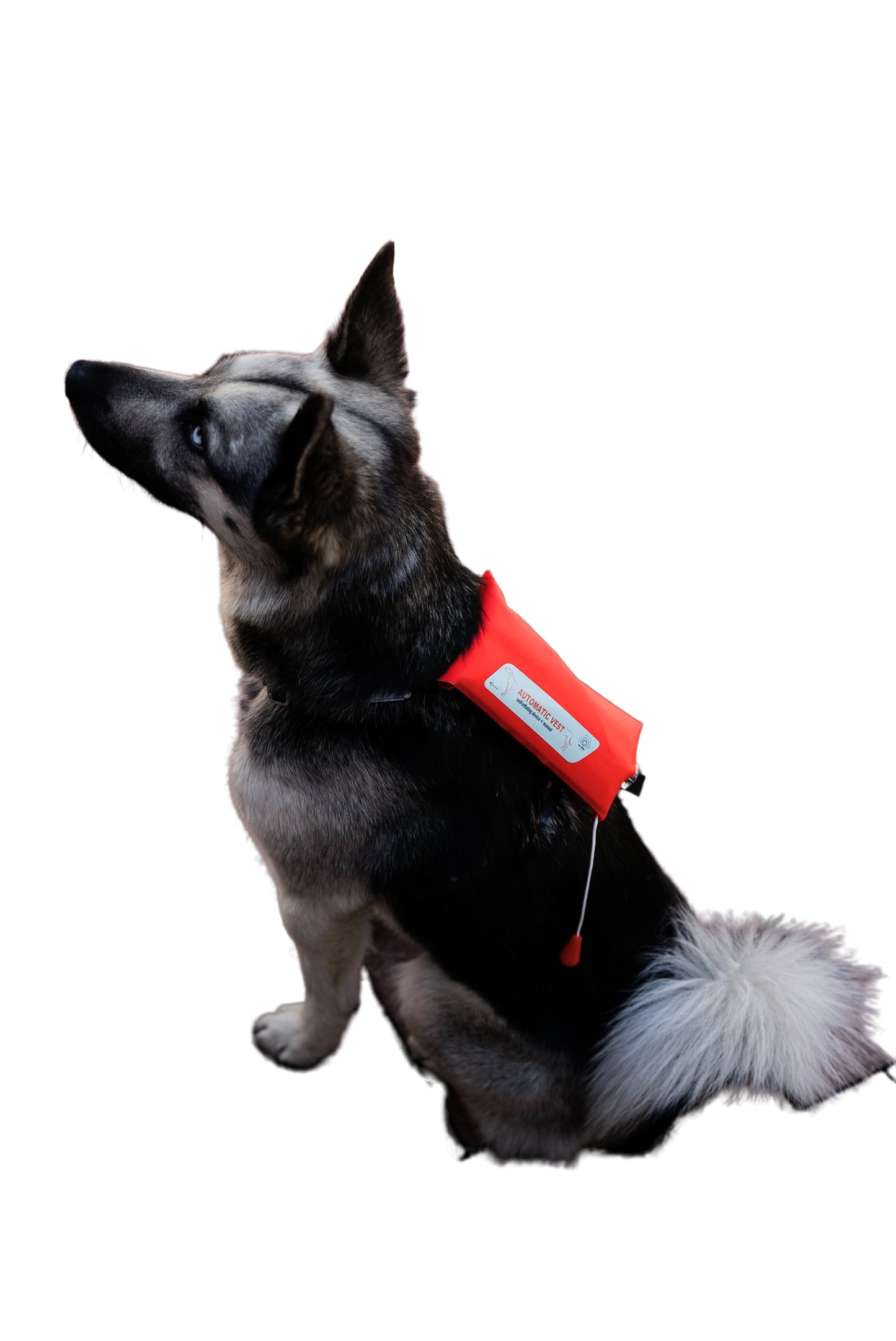 Dog automatic lifejacket