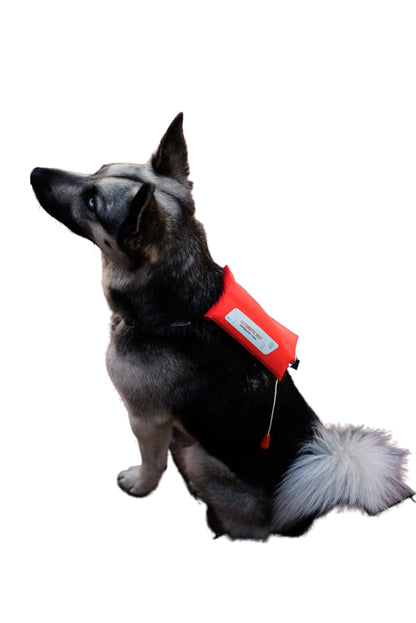 Dog automatic lifejacket