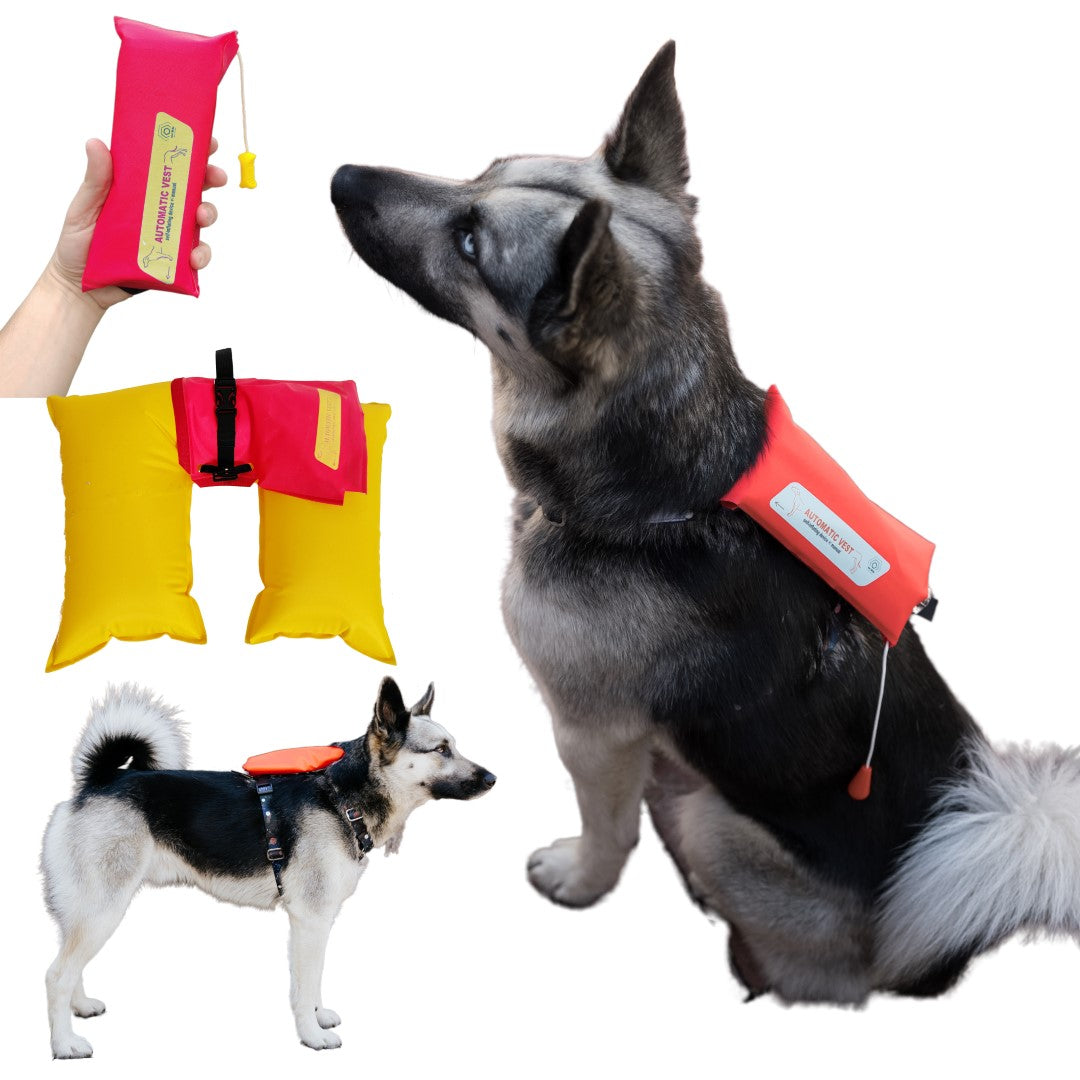 Dog automatic lifejacket